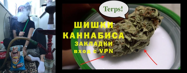 сатива Алзамай