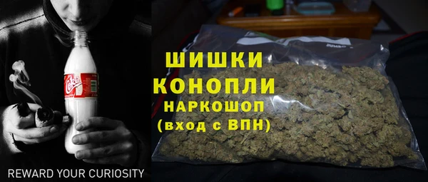 сатива Алзамай
