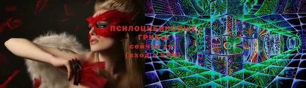 прущие грибы Алексеевка